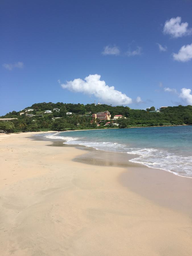 Serenite Vigie Saint Lucia Limited Bed & Breakfast Castries Eksteriør bilde